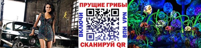 купить наркотик  mega ссылки  Псилоцибиновые грибы мухоморы  Суворов 