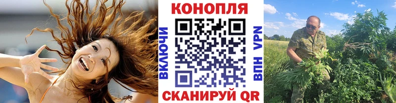 Канабис VHQ  где найти   OMG онион  Суворов 
